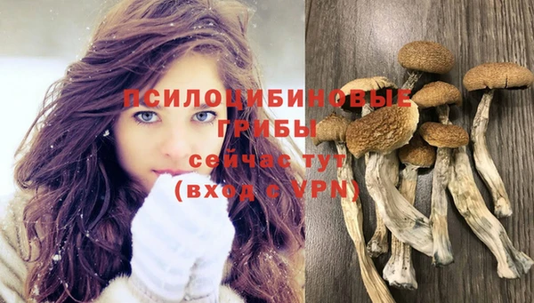 спиды Магас