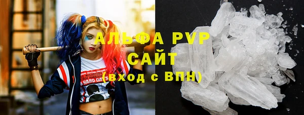 спиды Магас